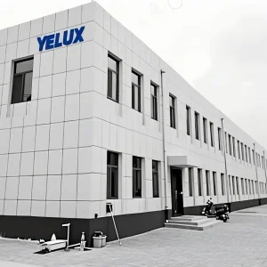 20 years B2B hair manufacturer for European